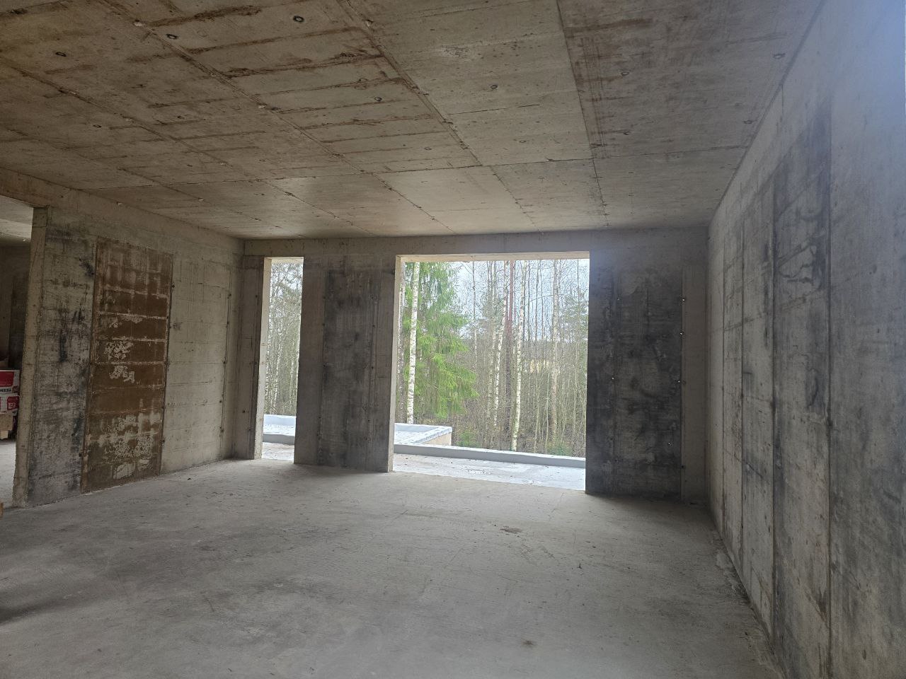 Форест - фото 12