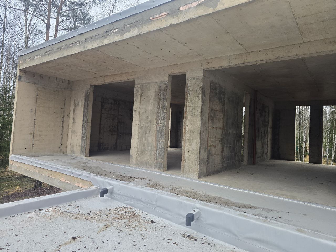 Форест - фото 13