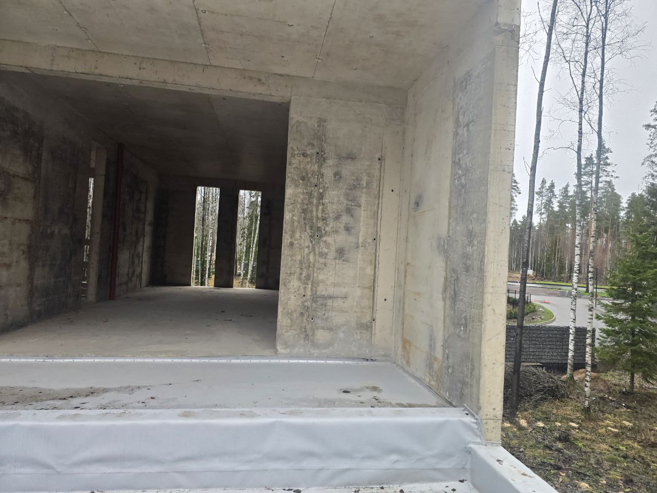 Форест - фото 14