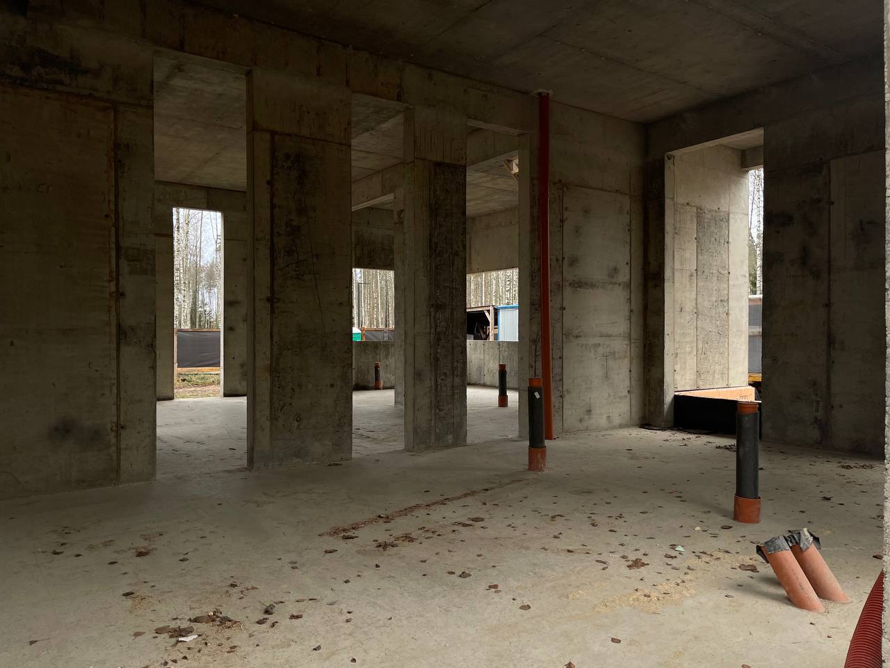 Форест - фото 15