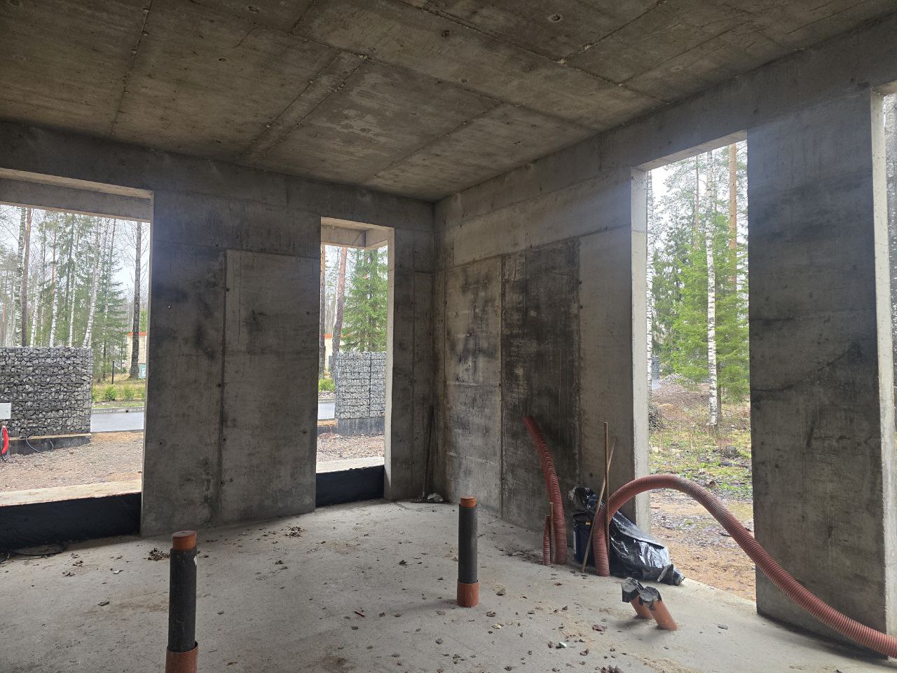 Форест - фото 7