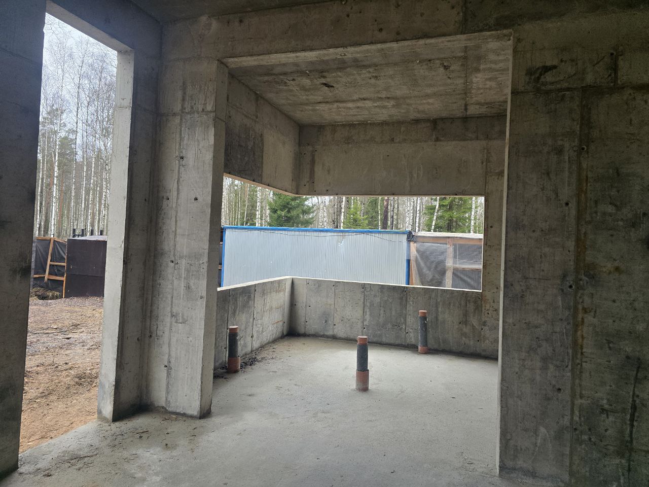 Форест - фото 8